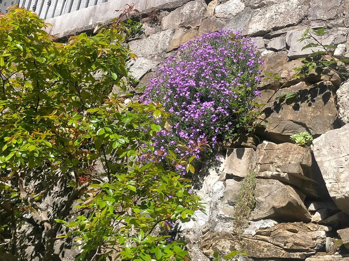 Torre Del Grifone Nel Medioevo Di Cividale Del Friuli Faedis Exterior foto